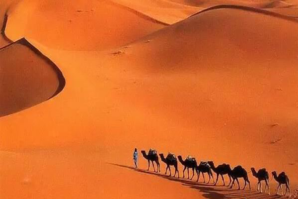 世界十大沙漠面积排名，除了撒哈拉沙漠大家还知道哪些