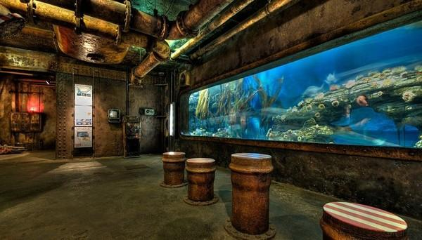 世界十大水族馆排名，中国一家上榜！