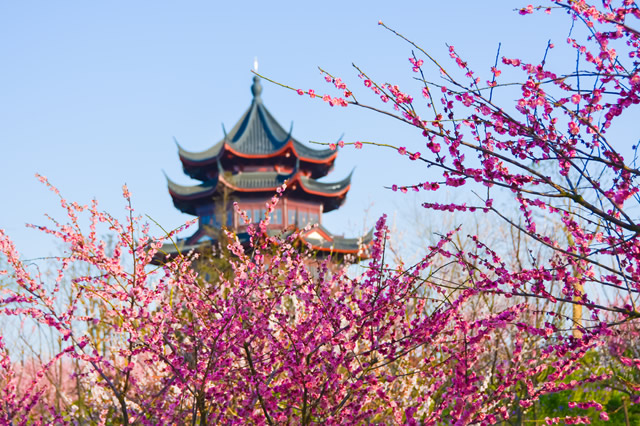 上海十大最美公园排名， 上海最美的公园有哪些