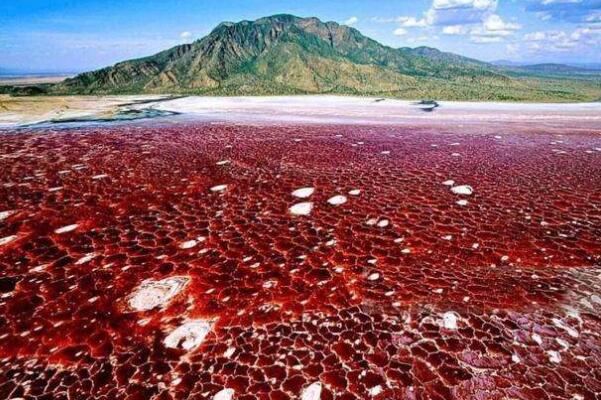 世界最奇特的十大湖泊排名，榜首可让人石化，粉红湖排第五