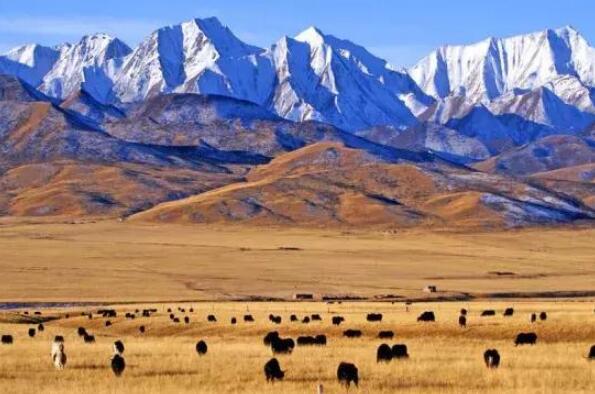 世界十大高原排名， 墨西哥高原上榜，青藏高原位居第一